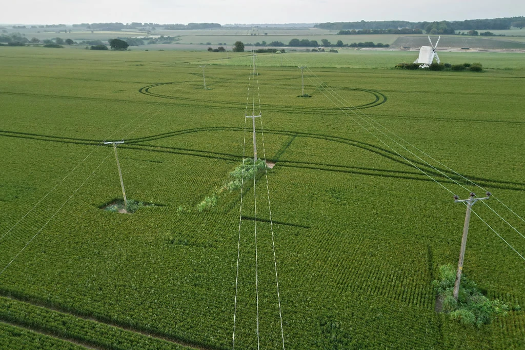 Picture, about:AGROCHEMICAL INDUSTRY